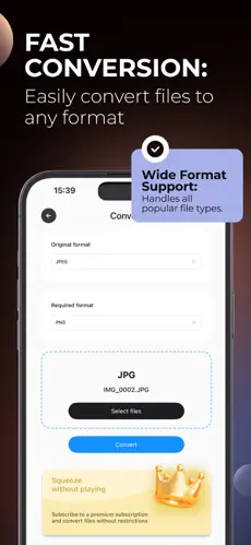 Format Conversion Interface